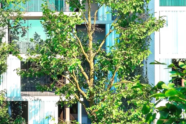 Shtepi ne shitje Apartament ne Tirane, 3+1, Mobilimi Bosh, pa mobiluar, Pagesa 314,000  Euro.