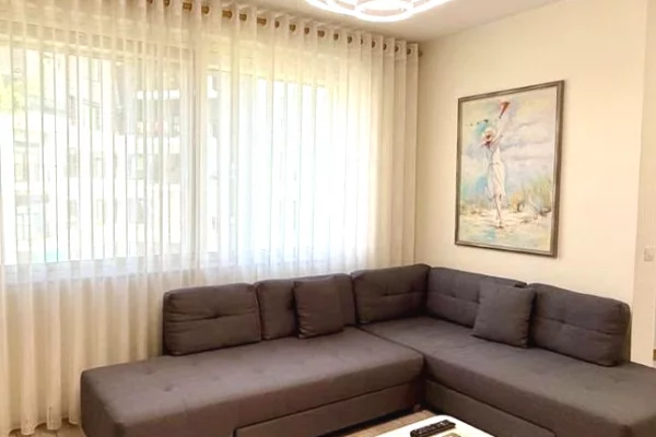 Shtepi me qera Apartament ne Tirane, 1+1, Mobilimi E mobiluar, Pagesa 900  Euro.