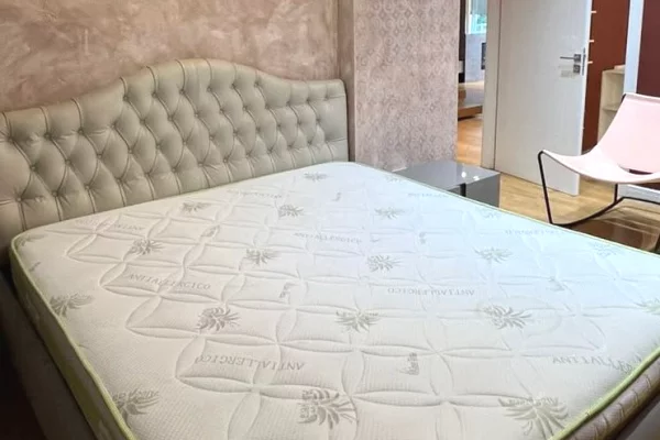 Shtepi me qera Duplex(shtepi me 2 kate) ne Tirane, 3+1, Mobilimi E mobiluar, Pagesa 2,000  Euro.