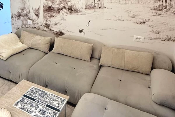 Shtepi ne shitje Apartament ne Tirane, 2+1, Mobilimi E mobiluar, Pagesa 235,000  Euro.