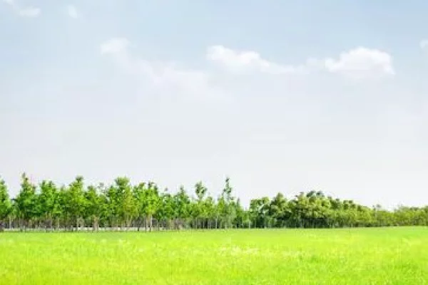 Land for Sale in Tirana - 600,000 Euro