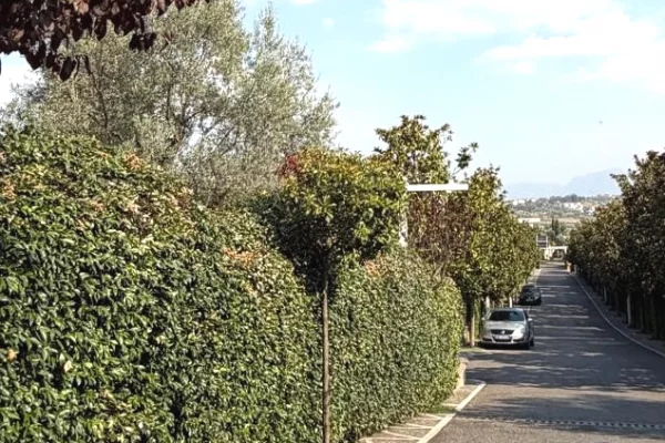 🏡 JEPET ME QIRA VILË – LONG HILL, TEG ✨