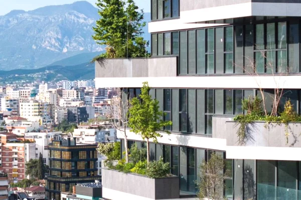 Ambient biznesi me qera 3+1 ne Tirane - 100 Euro