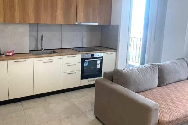 Shtepi me qera Apartament ne Tirane, 1+1, Mobilimi E mobiluar, Pagesa 50,000  Leke.