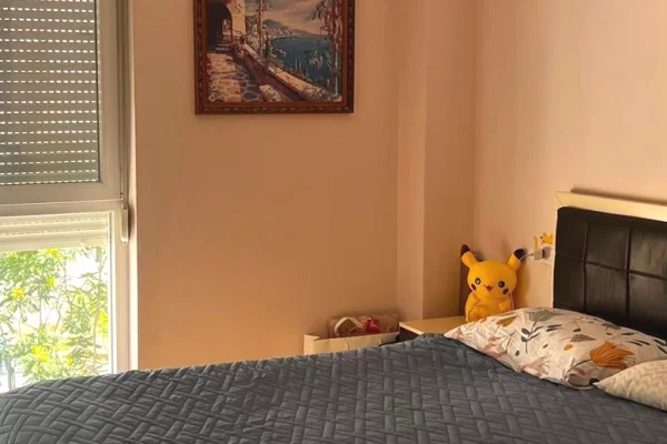 House for Sale Apartment in Tirana, 2+1, Furniture Furnished, Payment 235,000  Euro.