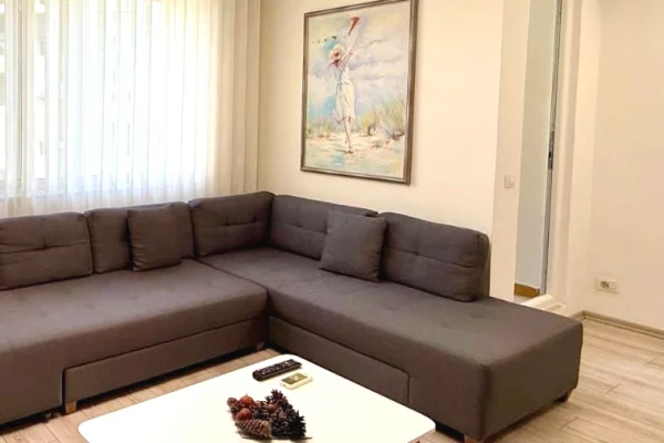 Shtepi me qera Apartament ne Tirane, 1+1, Mobilimi E mobiluar, Pagesa 900  Euro.