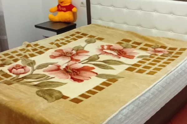 House for Rent Apartment in Tirana, 2+1, Furniture Furnished, Payment 45,000  Leke.