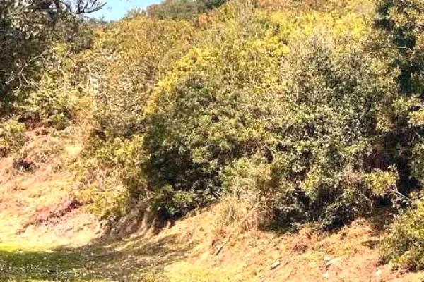 Land for Sale in Saranda - 132,000 Euro