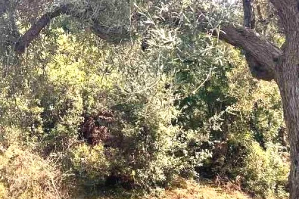 Land for Sale in Saranda - 132,000 Euro