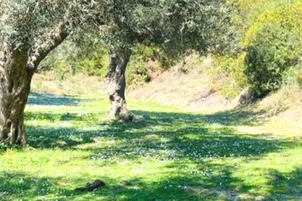 Land for Sale in Saranda - 132,000 Euro