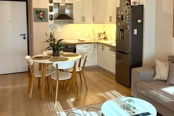 House for Rent 1+1 in Tirana - 60,000 Leke