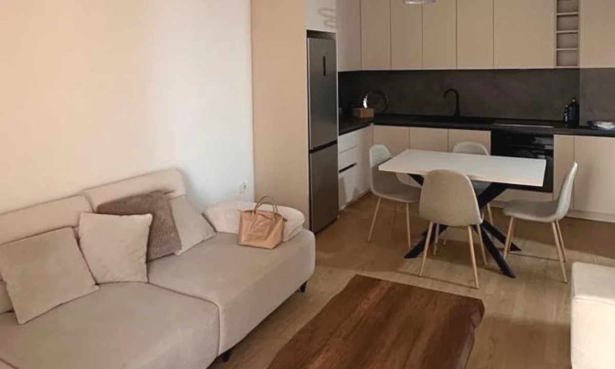 Shtepi me qera Apartament ne Tirane, 2+1, Mobilimi E mobiluar, Pagesa 1,000  Euro.