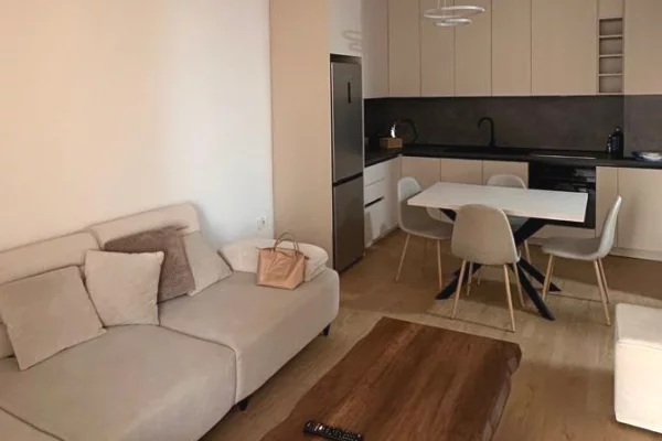 Shtepi me qera 2+1 ne Tirane - 1,000 Euro