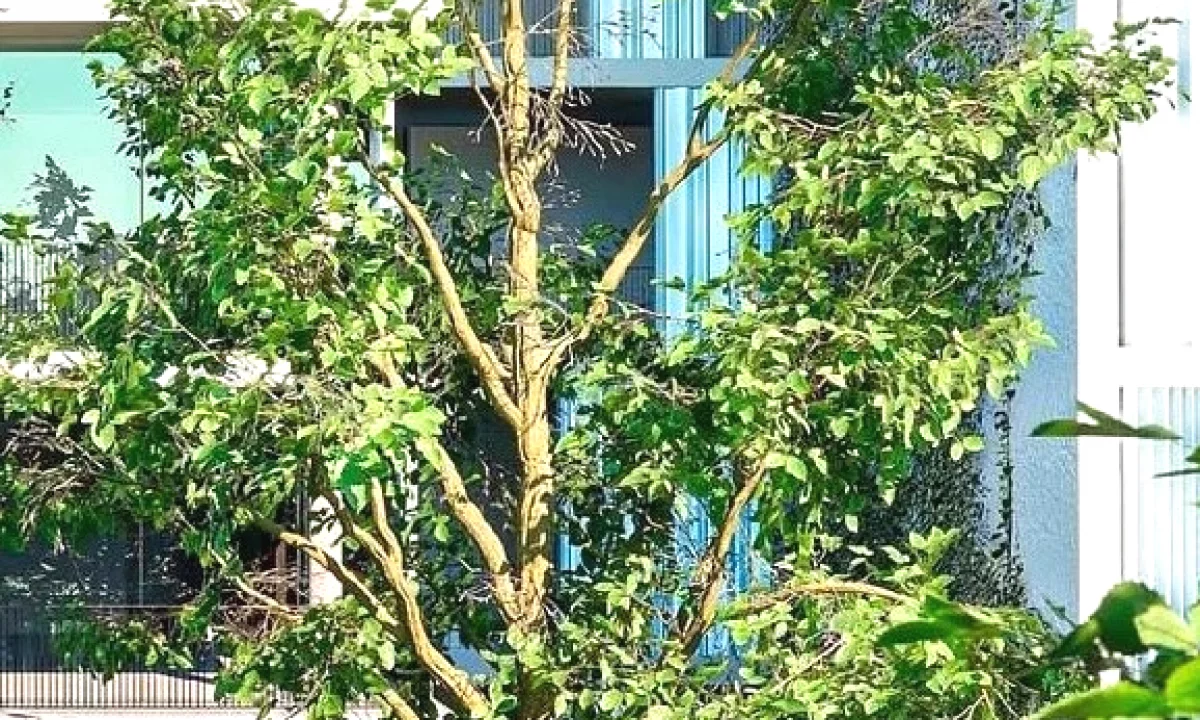 Casa in vendita Appartamento a Tirana, 2+1, Ambiente Vuoto, Pagamento 184,560  Euro.