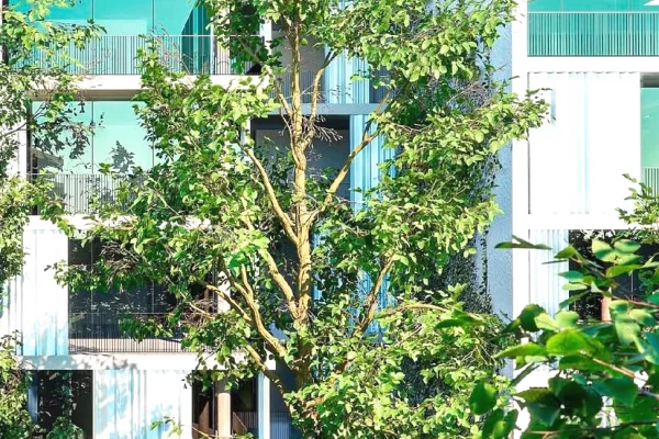 Casa in vendita Appartamento a Tirana, 3+1, Ambiente Vuoto, Pagamento 314,000  Euro.