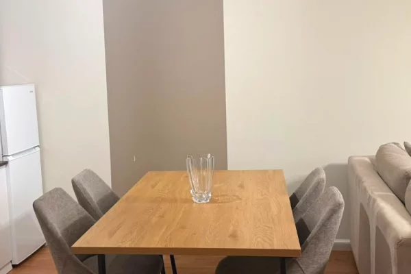 Shtepi me qera Apartament ne Tirane, 1+1, Mobilimi E mobiluar, Pagesa 70,000  Leke.