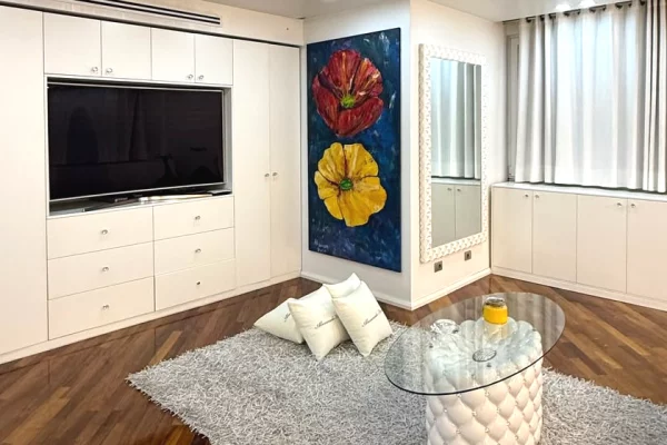 Shtepi ne shitje Apartament ne Tirane, 1+1, Mobilimi E mobiluar, Pagesa 200,000  Euro.