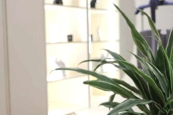 Shtepi ne shitje Apartament ne Tirane, Garsoniere, Mobilimi E mobiluar, Pagesa 220,000  Euro.