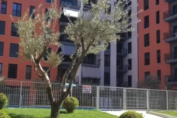 Shtepi me qera Apartament ne Tirane, 1+1, Mobilimi E mobiluar, Pagesa 55,000  Leke.