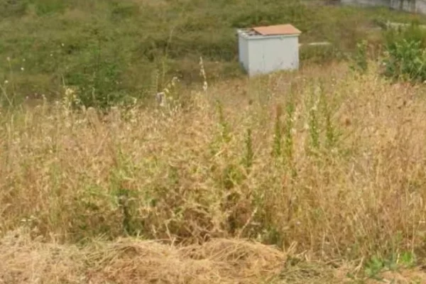 Land for Sale in Tirana - 726,000 Euro
