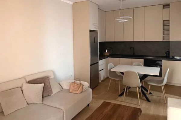 Shtepi me qera Apartament ne Tirane, 2+1, Mobilimi E mobiluar, Pagesa 1,000  Euro.