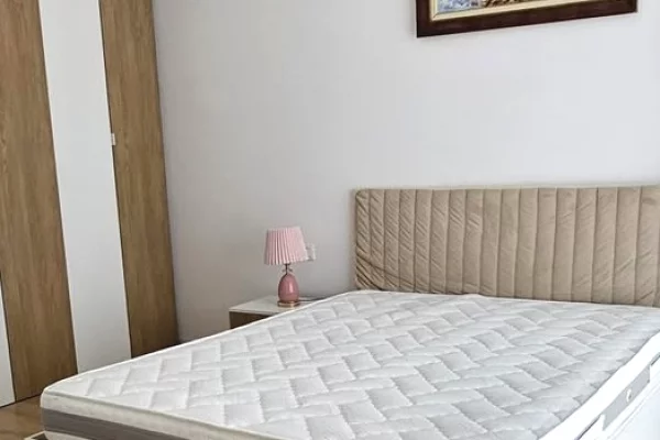 Shtepi me qera Vila Luksoze ne Tirane, 3+1, Mobilimi E mobiluar, Pagesa 1,500  Euro.