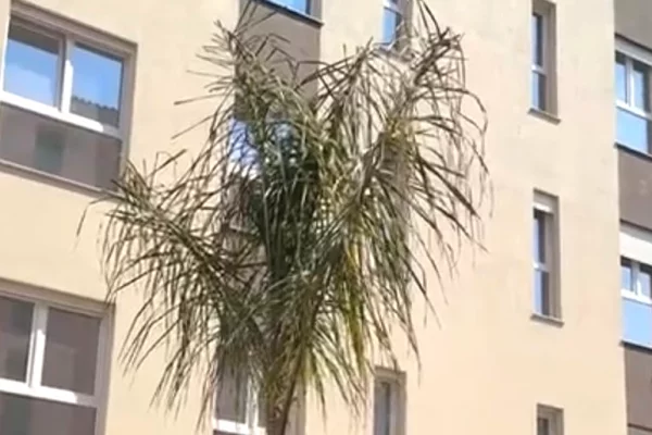 Shtepi ne shitje Apartament ne Durres, 1+1, Mobilimi Bosh, pa mobiluar, Pagesa 94,155  Euro.