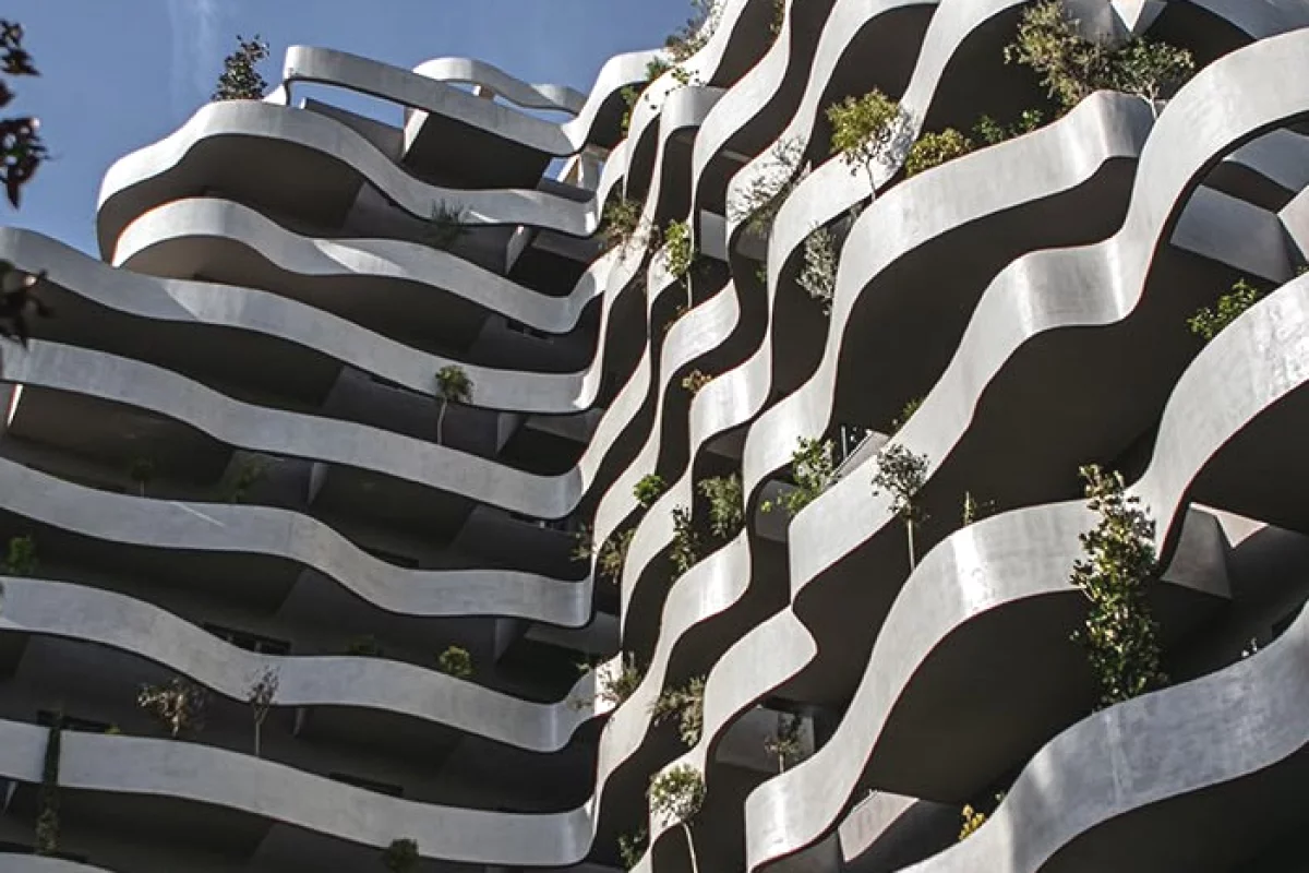 🏢 SHITET ZYRE – LION PARK