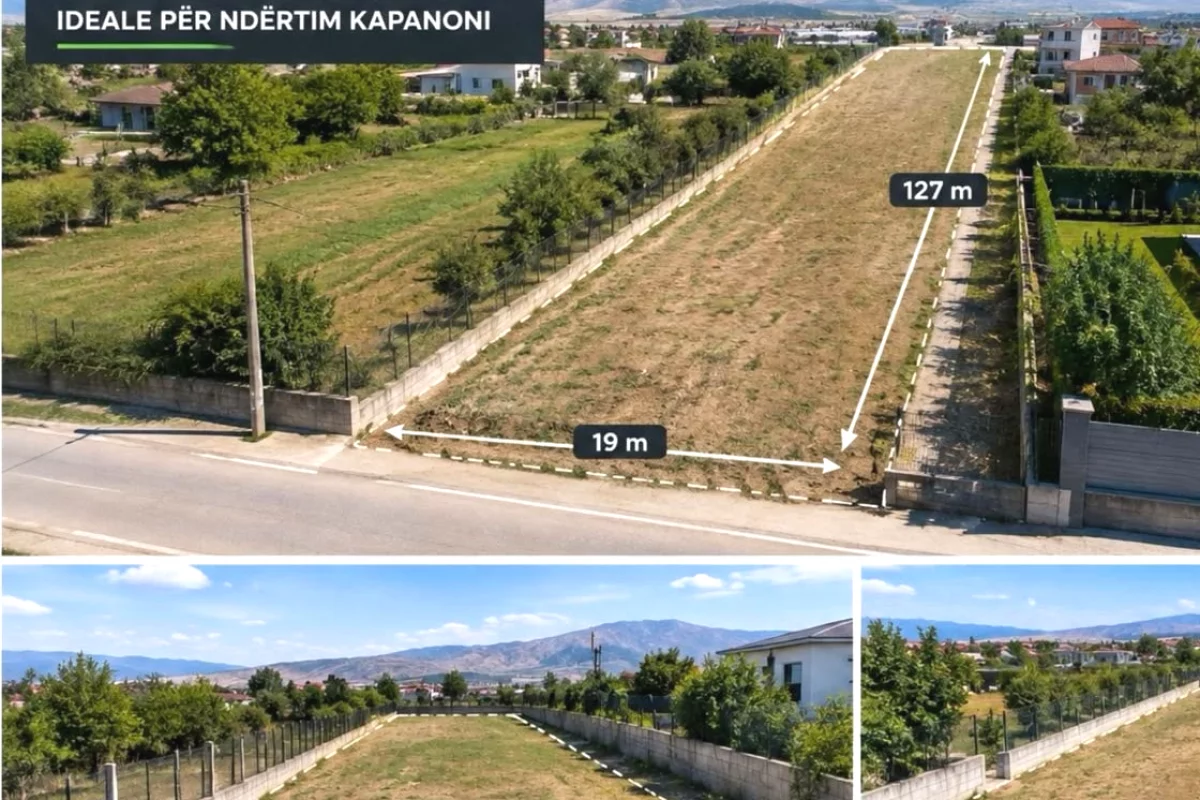 🌿 SHITET TOKE TRUALL – PRANE BRUNESIT, AUTOSTRADA TIRANE–DURRES
