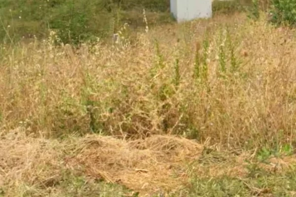 Land for Sale in Tirana - 726,000 Euro