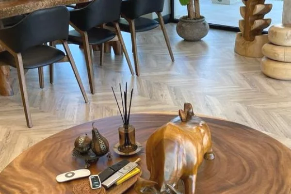 Shtepi ne shitje Vila Luksoze ne Tirane, 3+1, Mobilimi E mobiluar, Pagesa 2,200,000  Euro.