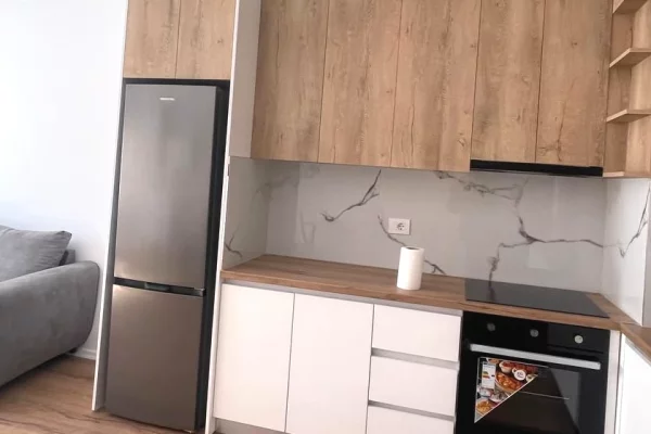 Shtepi me qera Apartament ne Tirane, 1+1, Mobilimi E mobiluar, Pagesa 50,000  Leke.