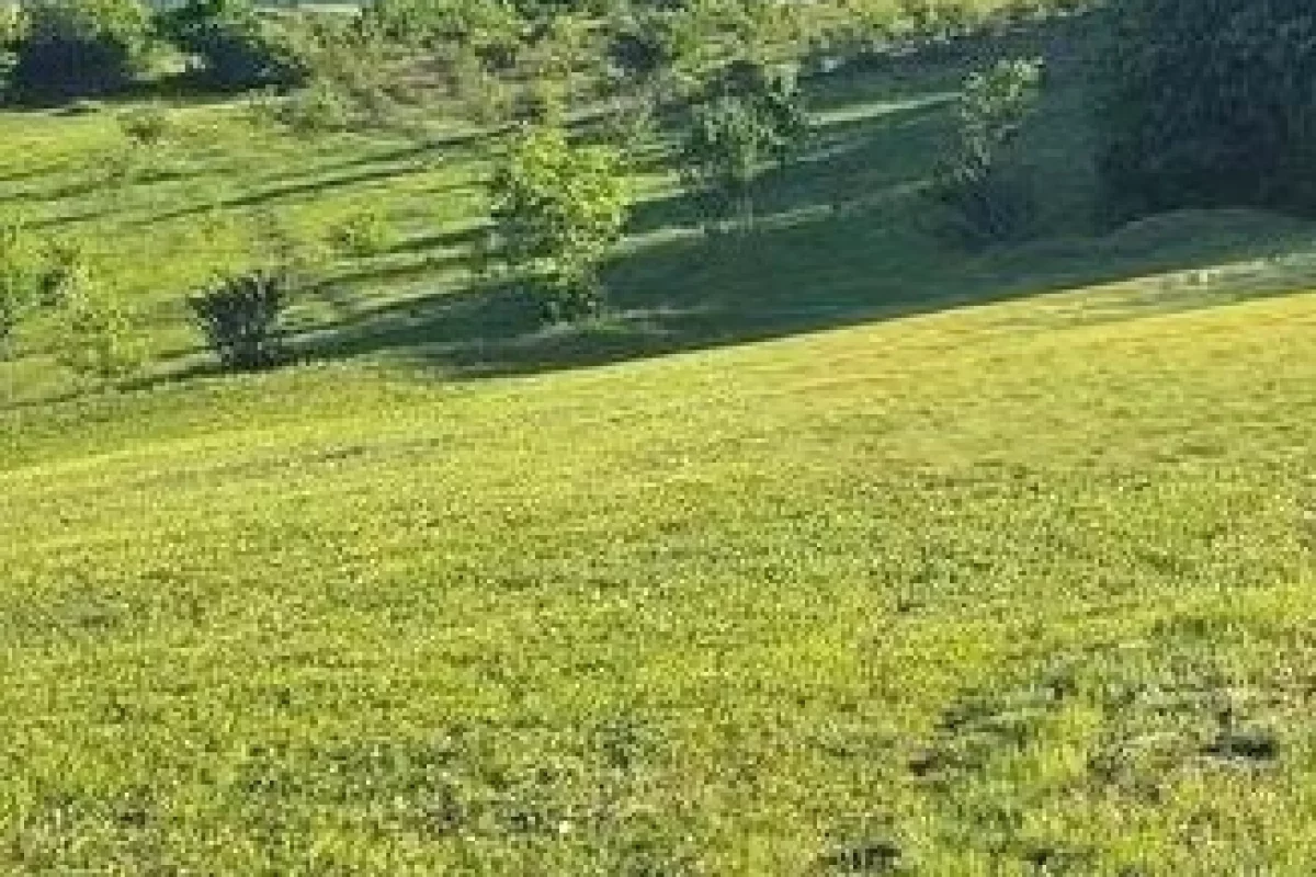 🌳🏗️ SHITET TOKE 6,600 M2 – PRANE AUTOSTRADES TIRANE-DURRES