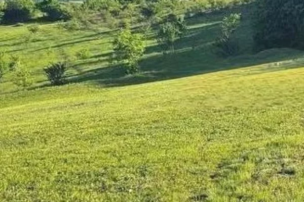 Land for Sale in Tirana - 726,000 Euro