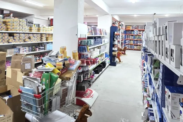 Ambient biznesi ne shitje 3+1 ne Tirane - 864,360 Euro