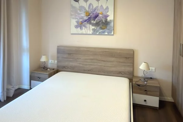 Shtepi me qera Apartament ne Tirane, 1+1, Mobilimi E mobiluar, Pagesa 75,000  Leke.
