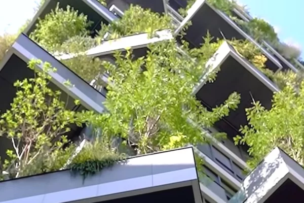 🏢 JEPET ME QIRA AMBIENT BIZNESI PREMIUM | VERTICAL FOREST TIRANA 🌿✨