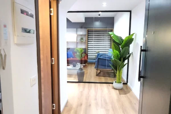 Shtepi ne shitje Apartament ne Tirane, 1+1, Mobilimi E mobiluar, Pagesa 239,000  Euro.