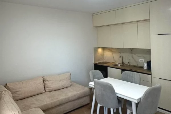 Shtepi me qera Apartament ne Tirane, 1+1, Mobilimi E mobiluar, Pagesa 65,000  Leke.