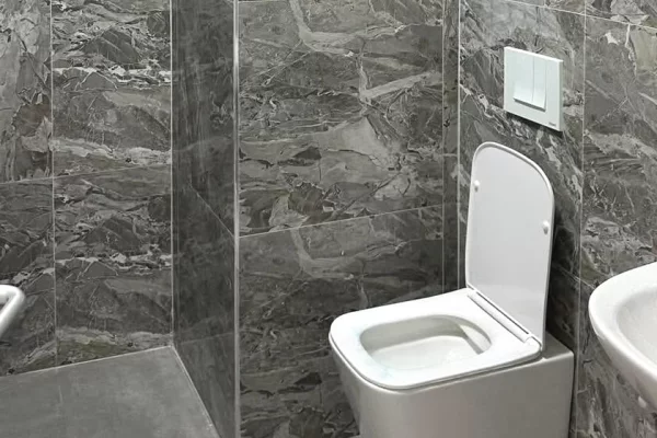 Shtepi me qera Apartament ne Tirane, 1+1, Mobilimi E mobiluar, Pagesa 65,000  Leke.