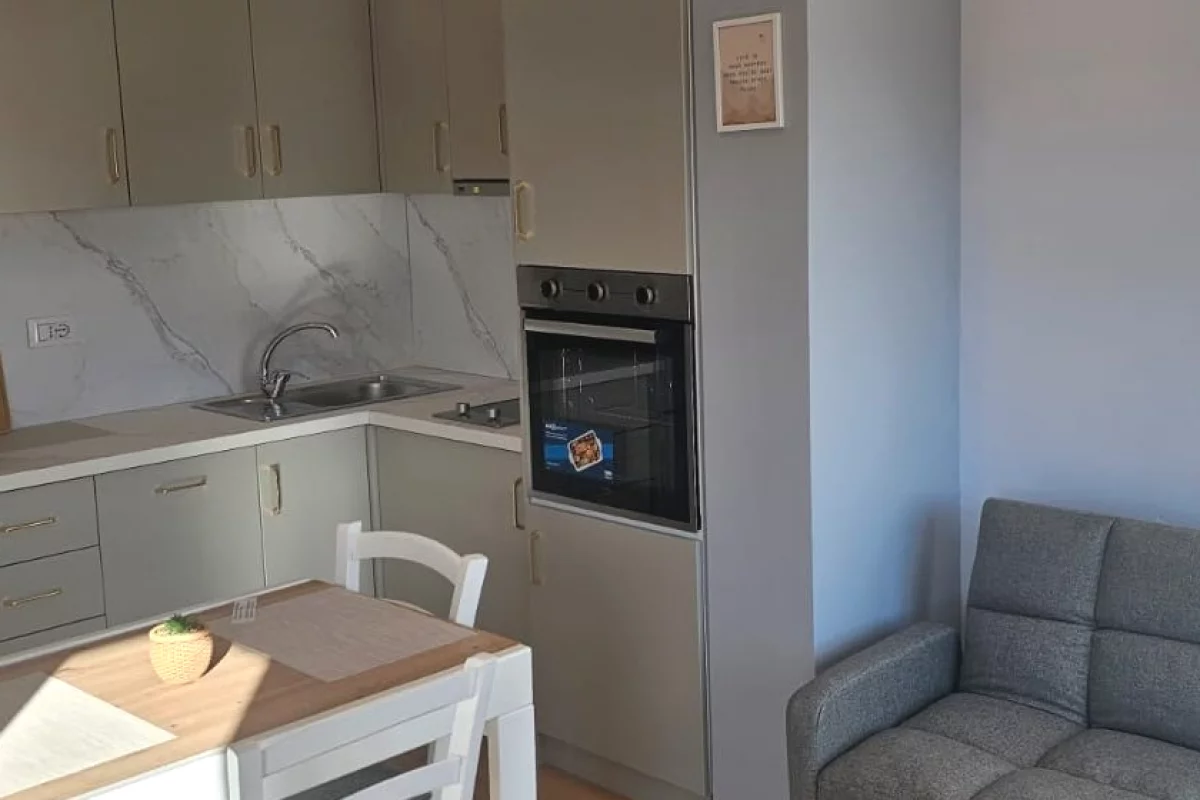 Shtepi me qera Apartament ne Tirane, 1+1, Mobilimi E mobiluar, Pagesa 63,000  Leke.