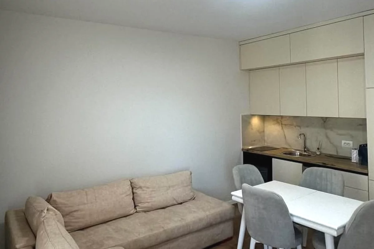 Shtepi me qera Apartament ne Tirane, 1+1, Mobilimi E mobiluar, Pagesa 65,000  Leke.