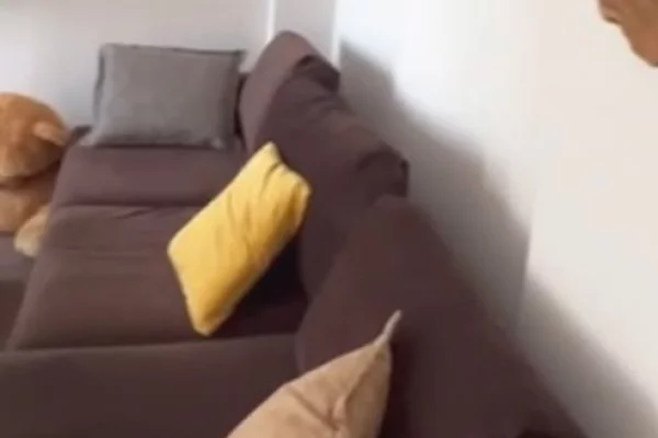 Shtepi me qera Apartament ne Tirane, 2+1, Mobilimi E mobiluar, Pagesa 700  Euro.