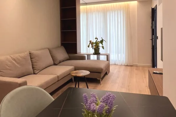 Shtepi ne shitje Apartament ne Tirane, 1+1, Mobilimi E mobiluar, Pagesa 11,600,000  Leke.