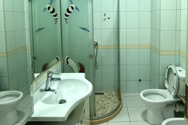 Shtepi me qera Apartament ne Tirane, 3+1, Mobilimi E mobiluar, Pagesa 55,000  Leke.