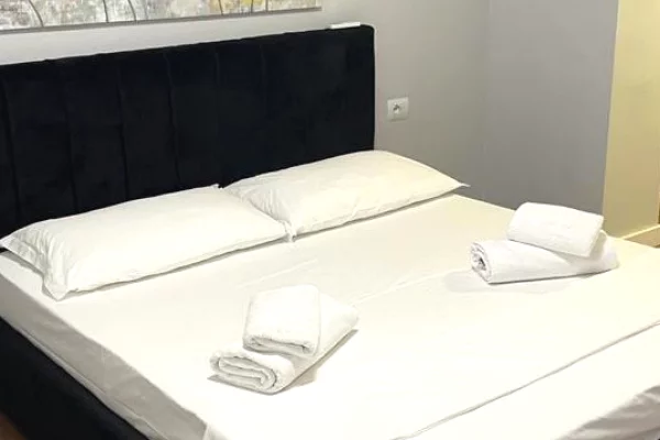 Shtepi me qera Apartament ne Tirane, 1+1, Mobilimi E mobiluar, Pagesa 65,000  Leke.