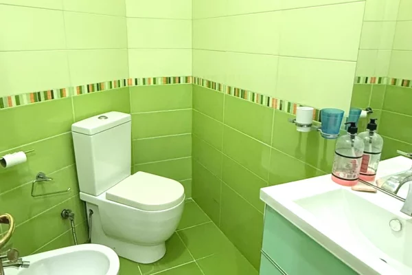 Shtepi me qera Apartament ne Tirane, 3+1, Mobilimi E mobiluar, Pagesa 1,000  Euro.