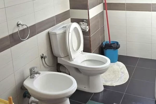 Shtepi me qera Apartament ne Tirane, 1+1, Mobilimi E mobiluar, Pagesa 65,000  Leke.