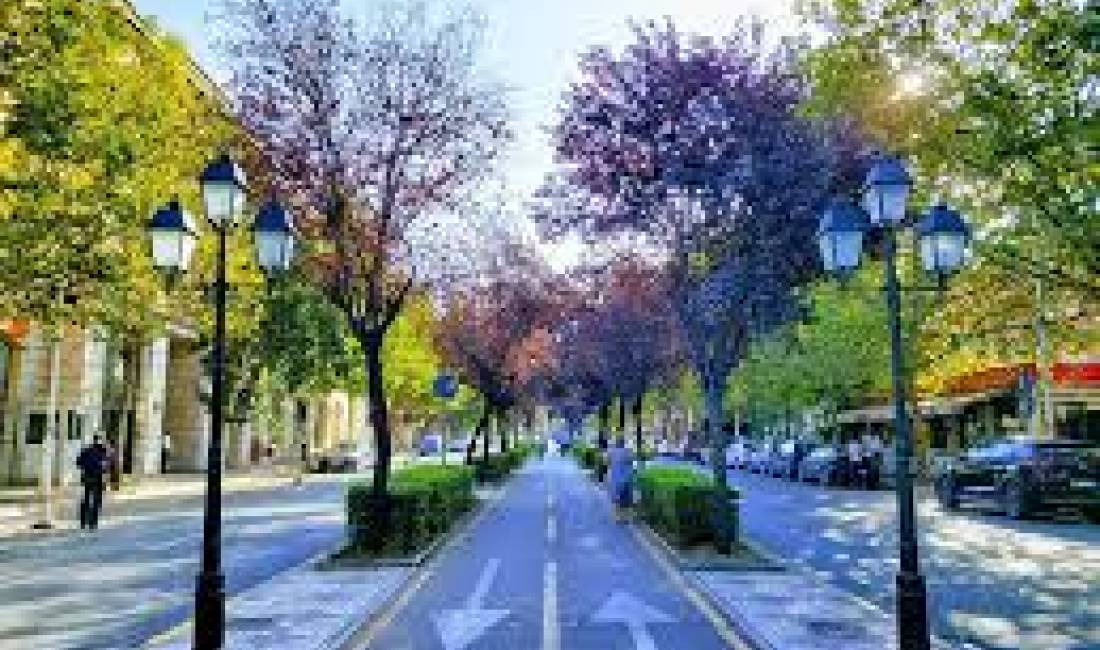 Shitet ambinent prane Rruges se Kavajes !!