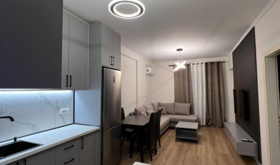 Shtepi me qera Apartament ne Tirane, 1+1, Mobilimi E mobiluar, Pagesa 500  Euro.